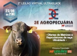 EM BREVE - 2º LEILÃO VIRTUAL ULTRABLACK 3E AGROPECUÁRIA EM BREVE - 2º LEILÃO VIRTUAL ULTRABLACK 3E AGROPECUÁRIA